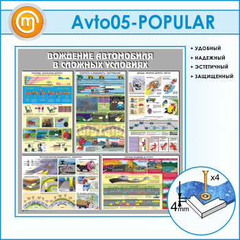 Стенд «Вождение автомобиля в сложных условиях» (AV-05)